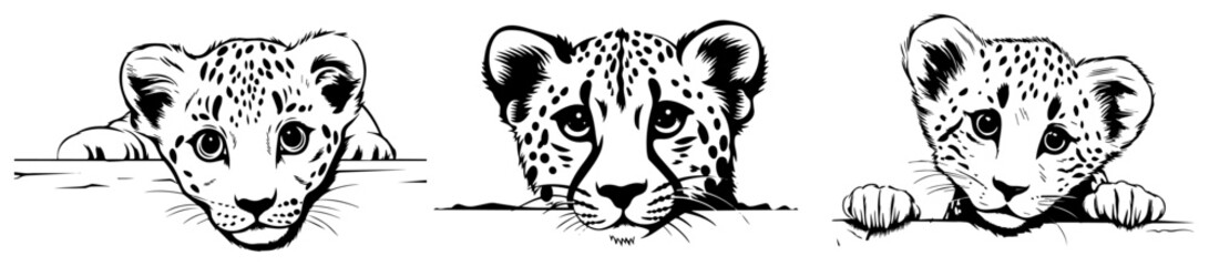 Cute leopard cubs peeking and watching, wild safari animal babies sketch vector illustration © JakubVectorSketch