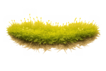 Lush green grassy island floating in air, featuring fertile soil, sprouting plants, and tiny moss details, transparent background