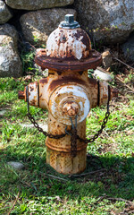 Fire Hydrant 