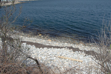 frozen river in winter