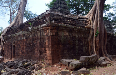  Crocodile Tree in Ta Prohm Temple (tree temple) in Angkor Wat complex in Cambodia where Laura Croft in Tomb Raider was shot. A Buddhist temple built in the 12th century. © Daniel Meunier