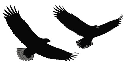Obraz premium Two eagles with outstretched wings in dynamic flight a striking silhouette