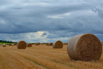 Golden round hay bales are arranged across a vast harvested field under a wide, dramatic cloudy sky.