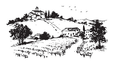 Obraz premium Vineyard landscape, Sketch, hand drawn illustrations. 