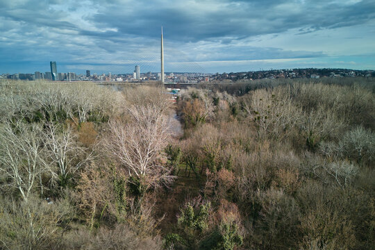 Drone view showing Belgrade city skyline and Ada bridge from above trees