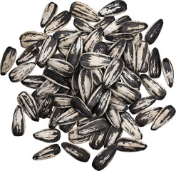 Sunflower seeds pile isolated