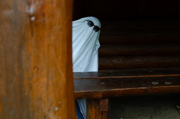 Autumn Halloween frames from a pumpkin park are filled with warm light, pumpkin decorations and a...