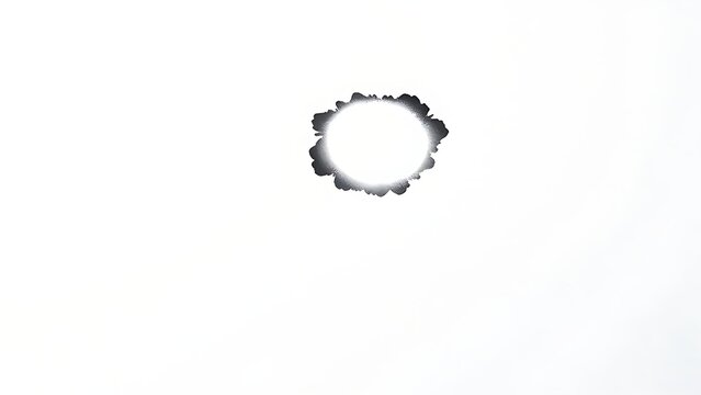 overpainting. A pure white canvas with a single black ink stain spreading organically at the edges. wellbeing guides.