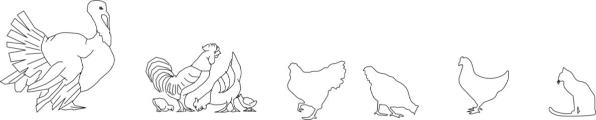 Vector line art collection of farm birds and a cat. Includes a turkey, rooster, hens with chicks, and a sitting cat silhouette in minimalist outlines.