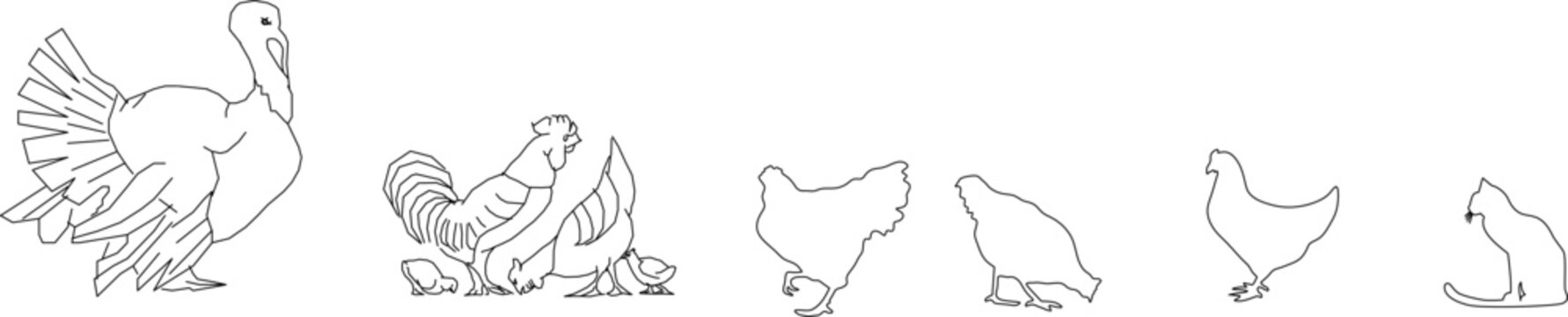 Vector line art collection of farm birds and a cat. Includes a turkey, rooster, hens with chicks, and a sitting cat silhouette in minimalist outlines.