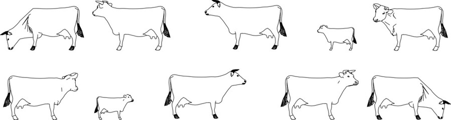 Collection of cow and calf silhouettes in minimalist line art. Features farm cattle in various side-view profile poses, including standing and grazing positions.