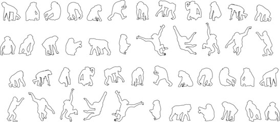 Collection of minimalist monkey and primate line art silhouettes in diverse poses like climbing, sitting, and swinging, ideal for wildlife logos.