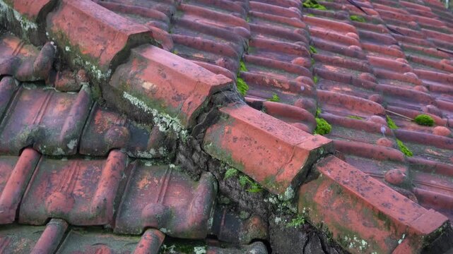 red roof tiles