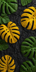 Bright green and yellow monstera leaves arranged over textured cracked black surface, tropical foliage pattern