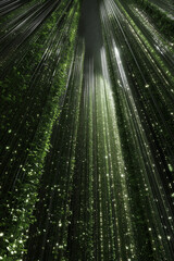 Tall vertical garden with lush greenery and glowing light trails, creating a surreal futuristic and immersive forest atmosphere.