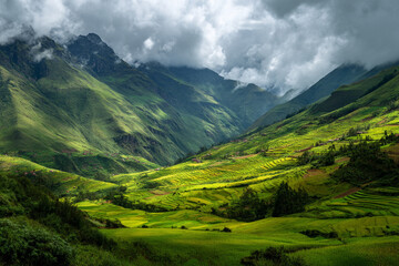 Fototapeta premium The lush, vibrant landscapes of the Highlands region, with abstract cloud-kissed mountains and terraced agricultural plots.