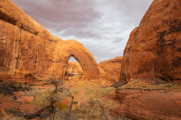 Arches