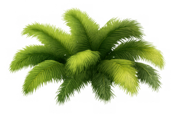 Green palm tree fronds and tropical plant leaves for summer, holiday, vacation, and nature themes, transparent background