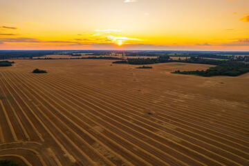 a farmer's field after the wheat harvest