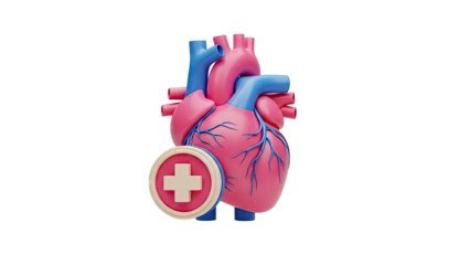 3D Heart with Medical Cross Icon