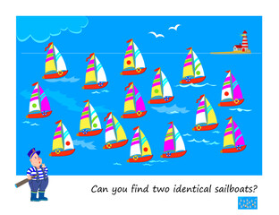 Can you find two identical sailboats? Logic puzzle for children and adults. Game Seek and Find. Page for kids brain teaser book. Task for the most attentive. IQ test. Hand drawn vector illustration.