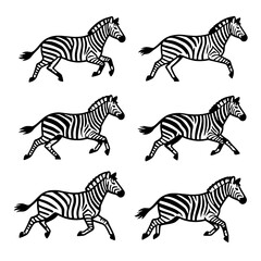 zebra vector illustration