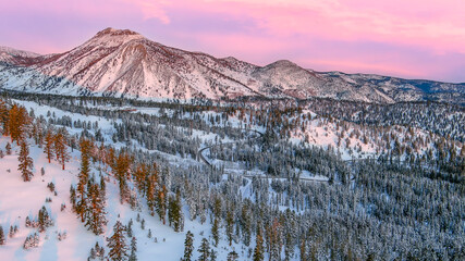 Snowcapped Mount Rose rises majestically over Washoe Valley, Nevada, during winter. The landscape is blanketed in snow, with scattered shrubs dotting the foreground.