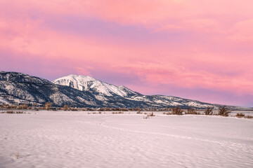Snowcapped Mount Rose rises majestically over Washoe Valley, Nevada, during winter. The landscape is blanketed in snow, with scattered shrubs dotting the foreground.