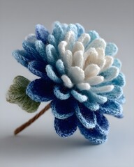 Crochet Flower With Gradient Color Shift Isolated On Clean White Background Handmade Textile Art