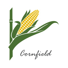 corn cob emblem isolated on white background