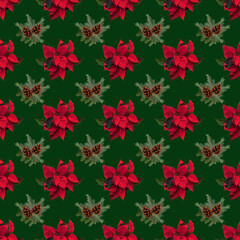 Seamless festive Christmas pattern with red poinsettia flowers, evergreen branches and pinecones on green background