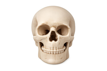 Obraz premium Human skull bone structure modeling anatomy, death, and mortality concept isolated on a transparent background