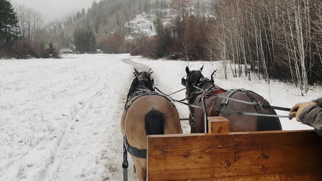 View from a sleigh as two horses pull a wooden cart along a snowy mountain road. Winter rural landscape with forest, hills, and traditional transport in cold weather.