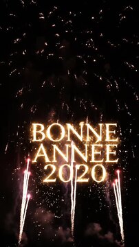 Golden Bonne Annee 2020 Fireworks Celebrate Night Sky