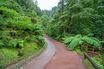 Fototapeta premium Caldeira Velha, access road to the hot springs bathing area, São Miguel Island, Azores, Portugal.