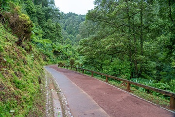 Obraz premium Caldeira Velha, access road to the hot springs bathing area, São Miguel Island, Azores, Portugal.