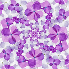 purple flower pattern swirling with delicate lavender petals and crisp white blossoms creates a serene decorative background for web design and spring branding