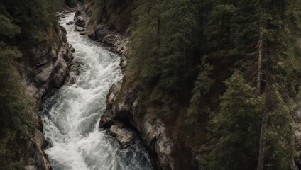 Fototapeta premium A rushing river carves through a deep forested valley, shot from above