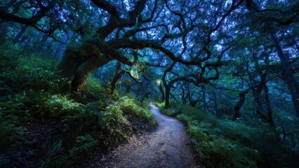 Enchanting Forest Path Under Moonlight with Twisted Trees and Lush Greenery Evoking Mystery and Tranquility