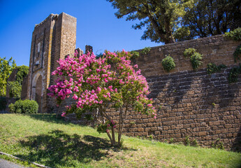 Rocca Albornoziana, Orvieto