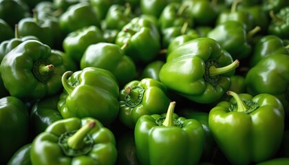 Pile of fresh green bell peppers fills frame. Raw vegetables vibrant, healthy ingredients for cooking. Perfect for salads, stir-fries, garnishes. Many peppers ready for harvest.