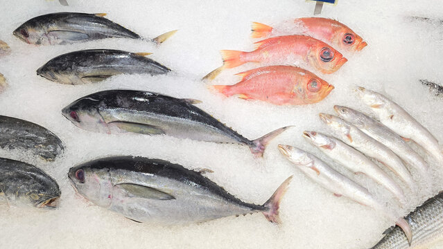 Peixes em gelo em supermercado ou feira. 