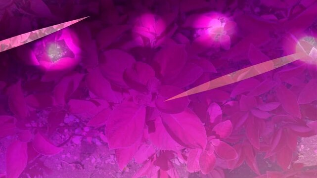 Purple Abstract Energy Motion Background