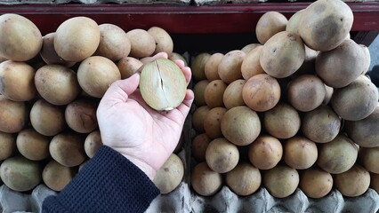 Close-Up of Hand Holding Cut Fresh Sawo or Sapodilla Fruit