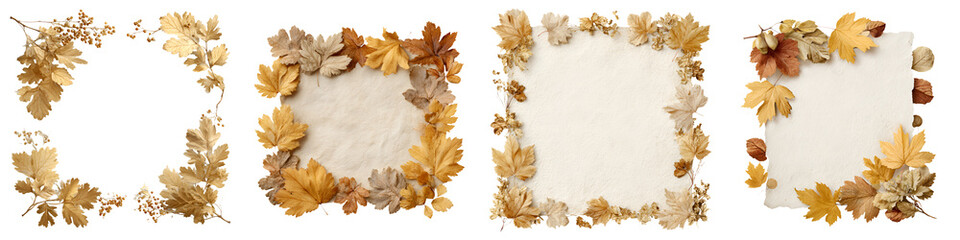 Fototapeta premium Autumn Leaves Frame and Border Collection