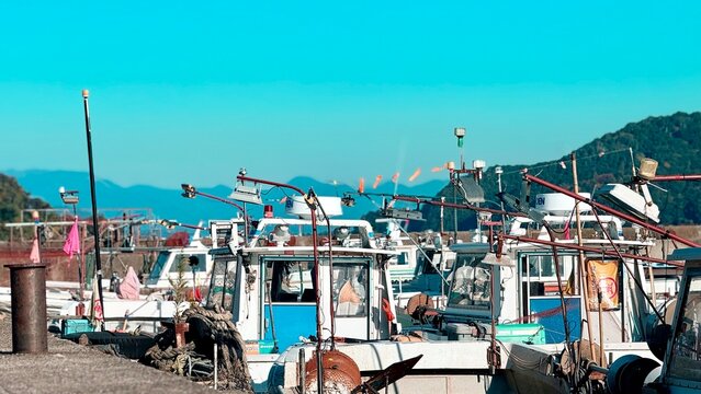 boats in the harbor