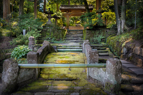 Natural Surroundings of the Old Jochiji Temple in Kamakura, Japan