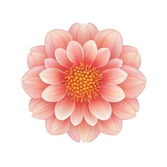 Elegant Peach and Pink Dahlia Blossom