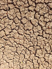 cracked earth texture