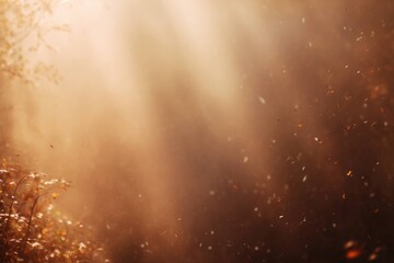 Golden Autumn Sunlight with Floating Dust